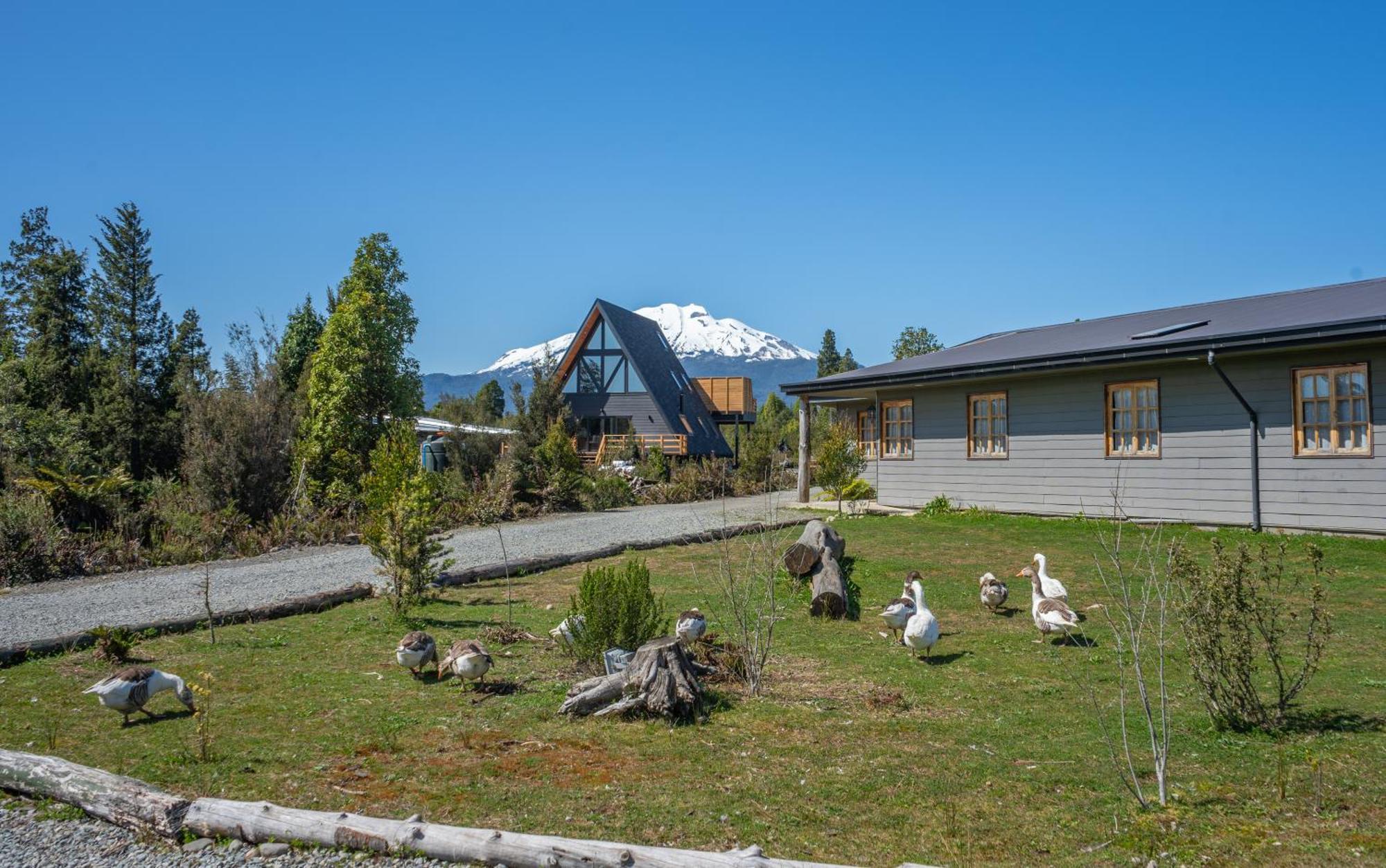Parque La Pajarera Hotel Puerto Varas Exterior photo